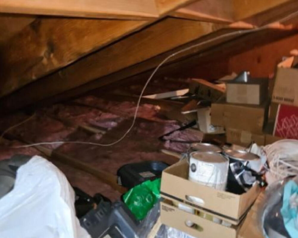 Ash & Char in Client's Attic