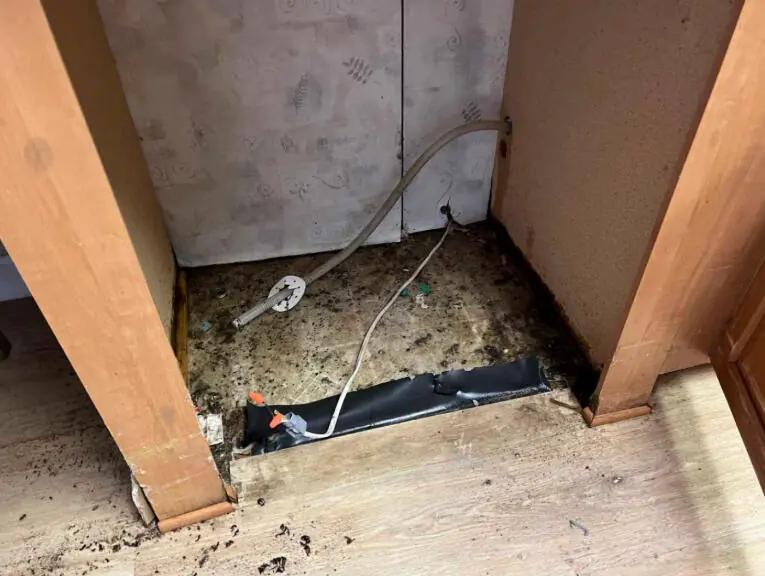 Dishwasher supply line burst