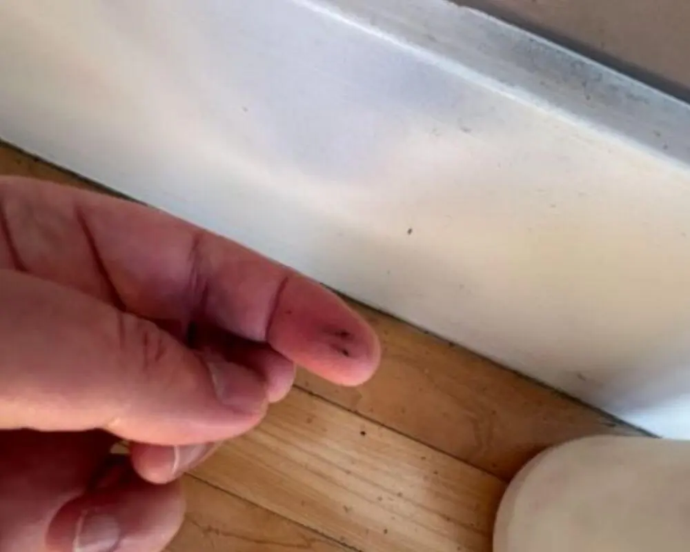 Interior ash contamination